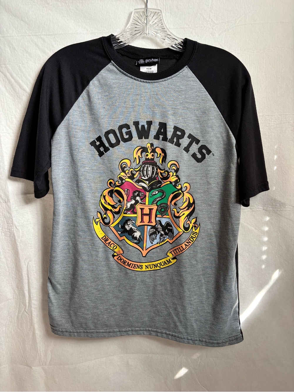 Warner Bros. Hogwarts Crest Raglan Crewneck in Gray and Black